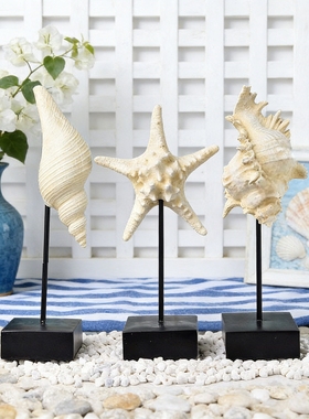 地中海风海星海马海螺客厅摆件