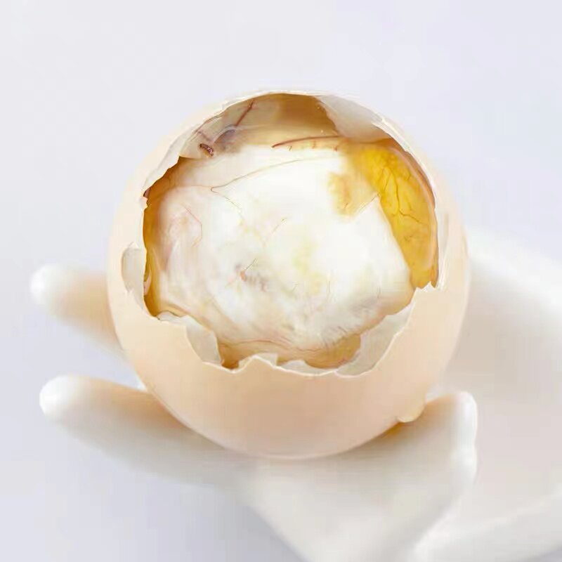 13天活珠子生的钢化蛋鸡胚蛋原味活珠子孵化鸡蛋南京活珠毛蛋