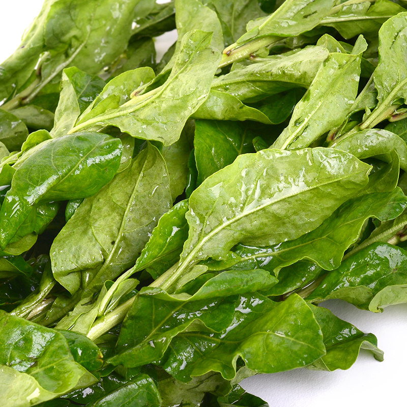 精选枸杞菜200g