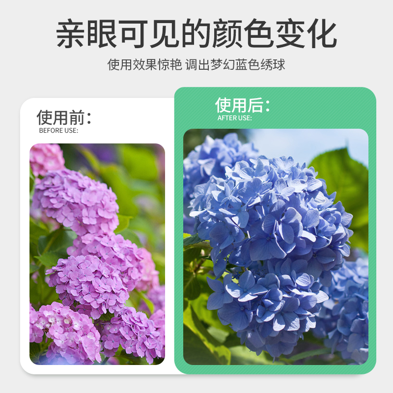 硫酸铝调蓝剂绣球花调色专用通用家用肥料变蓝上色花肥无尽夏酸性-图1