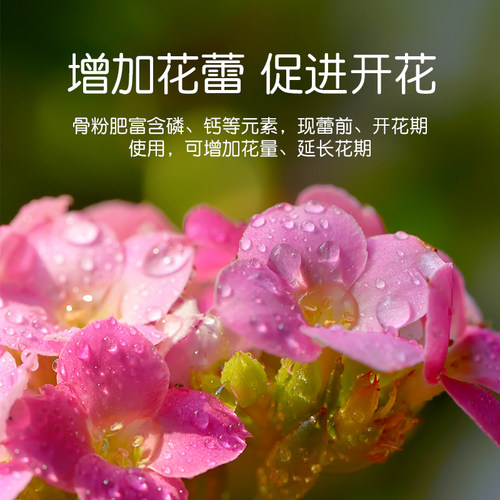 骨粉花肥料园艺花肥促花养花开花脱脂植物盆栽绿植花卉通用型有机 - 图0