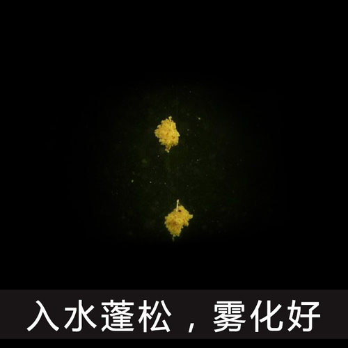 独霸饵料12345号真好钓具商品鱼饵食黑坑野钓鲫鱼鲤鱼安小惠渔具 - 图0