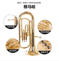 Yamaha mid-tone down B tone color quality super good