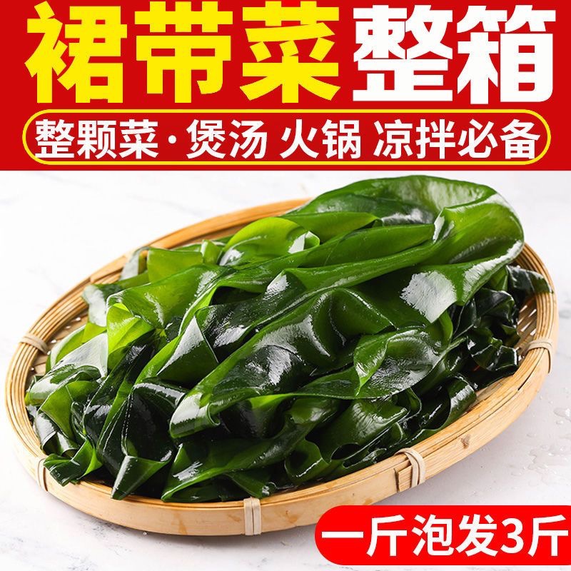 裙带菜烫三秒裙带叶裙带菜海带芽海白菜海藻出口韩国海带汤火锅食-图2