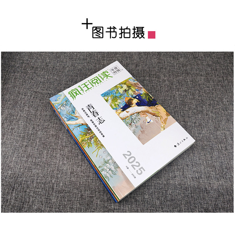 【全套4册】天星教育2025疯狂阅读年度特辑 中学生课内外阅读成长故事青春小说校园文学励志杂志初中高中语文高考作文素材书