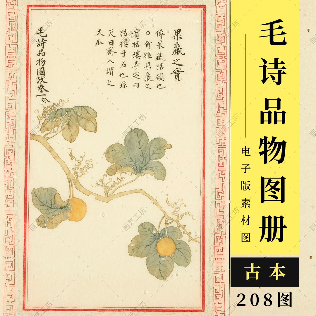 毛诗品物图考册诗经配图彩绘插画古本书花鸟国画瑞兽临摹高清大图