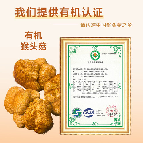 黑龙江有机猴头菇干货新营养纯粉猴菇仿野生猴头菇菌菇包邮500g - 图2