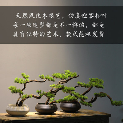 新中式禅意迎客松花盆盆景摆件枯山水微景观绿植盆栽家居装饰品 虎窝淘