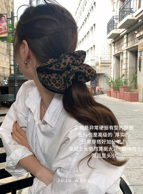 洋气秋冬~豹纹硬挺大肠发圈女