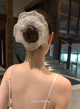 塞纳河畔的阳光~气质大肠发圈女