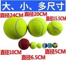 High play training to play tennis size Tennis Signature inflatable pet Big Tennis Puppy Tennis Show