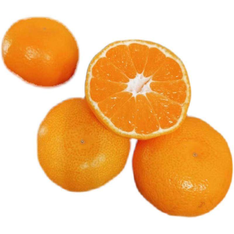 正宗临海涌泉蜜桔早熟宫川高山现摘现发当季橘子10斤包邮现货,淘宝优惠券,粉丝福利购,淘宝优惠卷