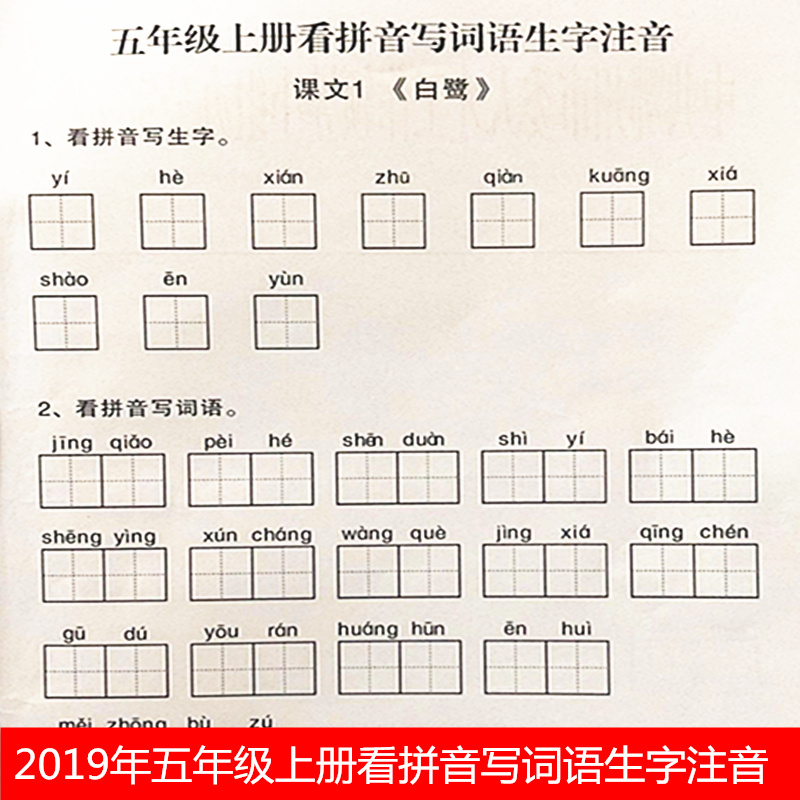 2020部人教语文五年级上下册拼音词语