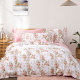 Four-piece set 100 pure cotton full cotton Fuanna