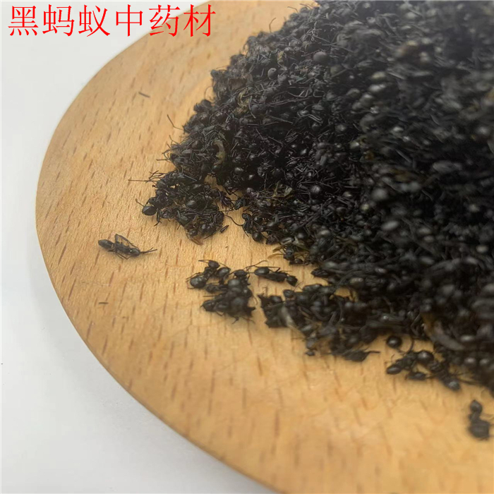 黑蚂蚁中药材250克包邮 双齿多刺蚁 鼎突多刺蚁 泡酒 另售红蚂蚁 - 图1