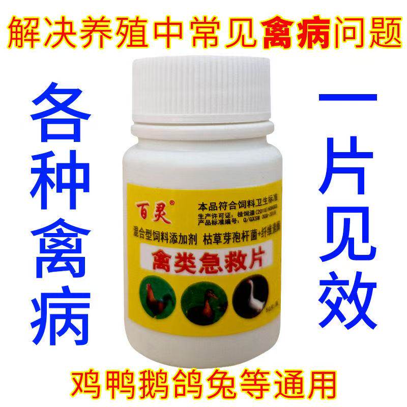 鸡鸭鹅鸽呆立精神不振药老牌子禽类急救片救禽一片活鸡药大全呼吸,淘宝优惠券,粉丝福利购,淘宝优惠卷