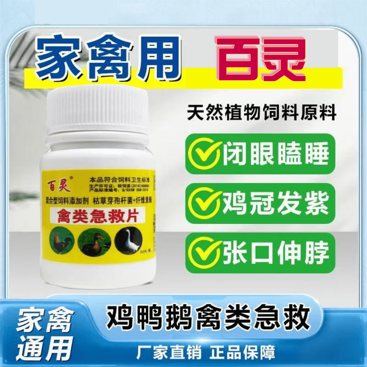 鸡鸭鹅鸽呆立精神不振药老牌子禽类急救片救禽一片活鸡药大全呼吸,淘宝优惠券,粉丝福利购,淘宝优惠卷