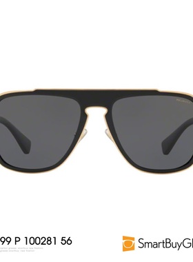 偏光太阳镜Versace时尚男