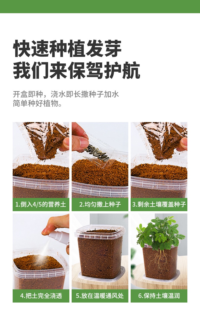 儿童种植小盆栽迷你观察植物幼儿园小花农种植观察盒日记根系生长-图2