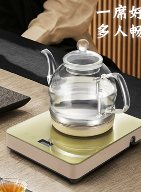 新功烧水壶全自动保温一体