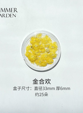 盒装干花押花美甲装饰