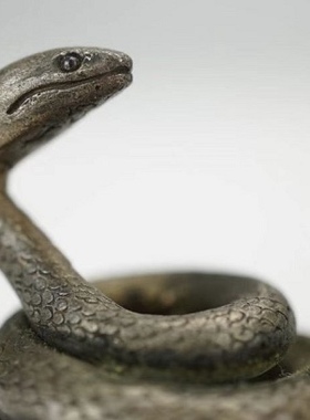 義章的银蛇，材料为纯银，栩栩如生，来货的时候我都被吓了一跳