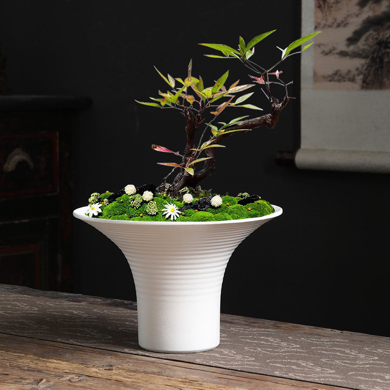 简约禅意陶瓷盆景花器现代大号高脚苔藓蕨类绿植文竹兰花水培花盆,淘宝优惠券,粉丝福利购,淘宝优惠卷