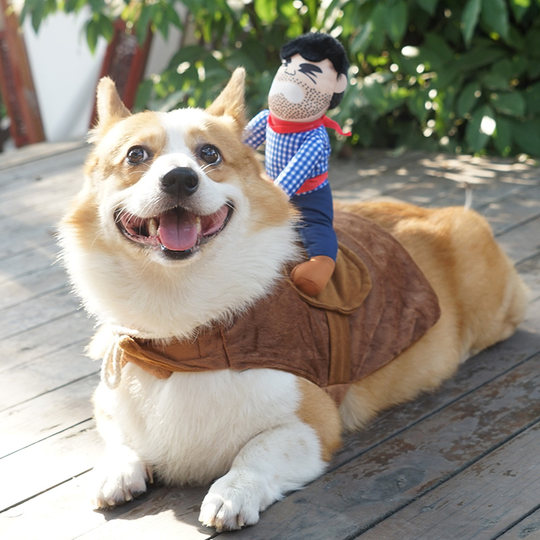 Corgi riding funny Shiba Inu transformation costume