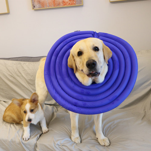 狗伊丽莎白圈大型犬防舔头套狗项圈宠物防咬圈猫咪耻辱圈狗狗用品 - 图0