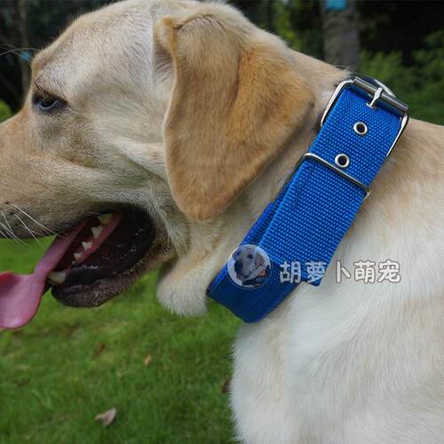 宠物脖圈拉布拉多金毛德牧项圈狗圈颈圈中型犬大型犬加厚脖套包邮 - 图2