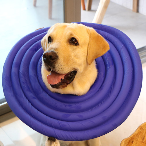 狗伊丽莎白圈大型犬防舔头套狗项圈宠物防咬圈猫咪耻辱圈狗狗用品 - 图1