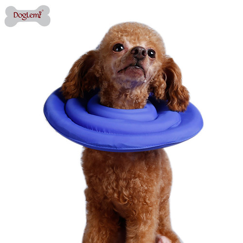 狗伊丽莎白圈大型犬防舔头套狗项圈宠物防咬圈猫咪耻辱圈狗狗用品 - 图3