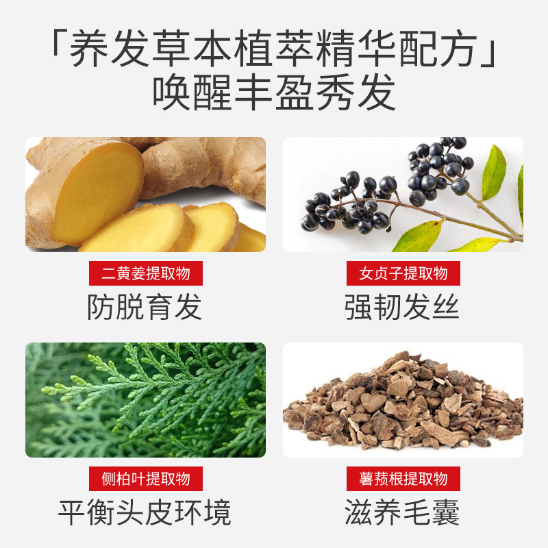 韩方五谷旗舰店生姜洗发水防脱生发育发液增发密发控油去屑止痒男女正品洗发露膏0