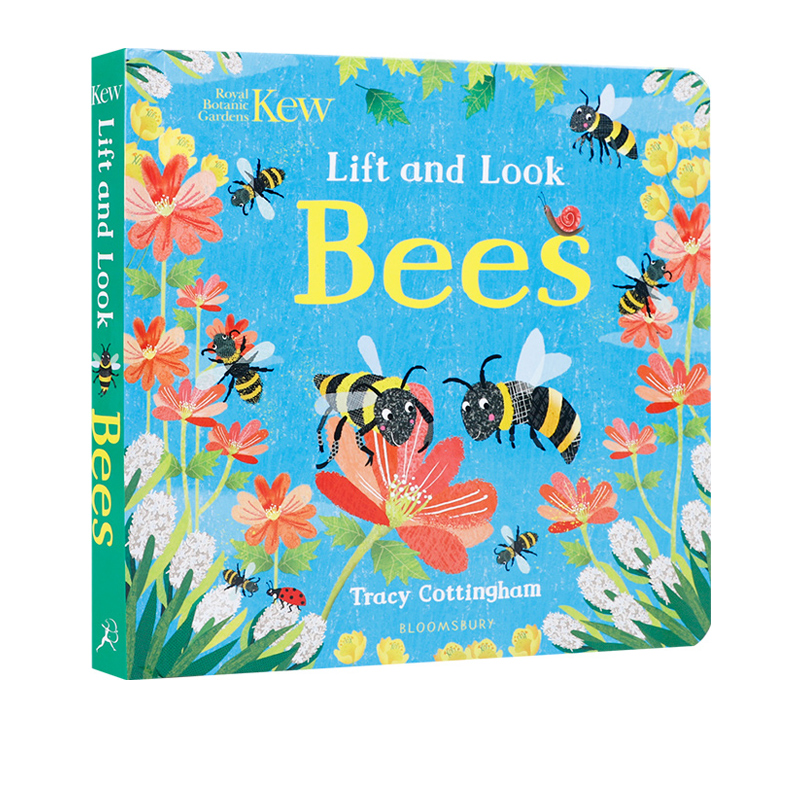 英文原版 Kew: Lift and Look Bees 纸板翻翻书 儿童科普启蒙认知绘本 亲子互动学习图画书 - 图3