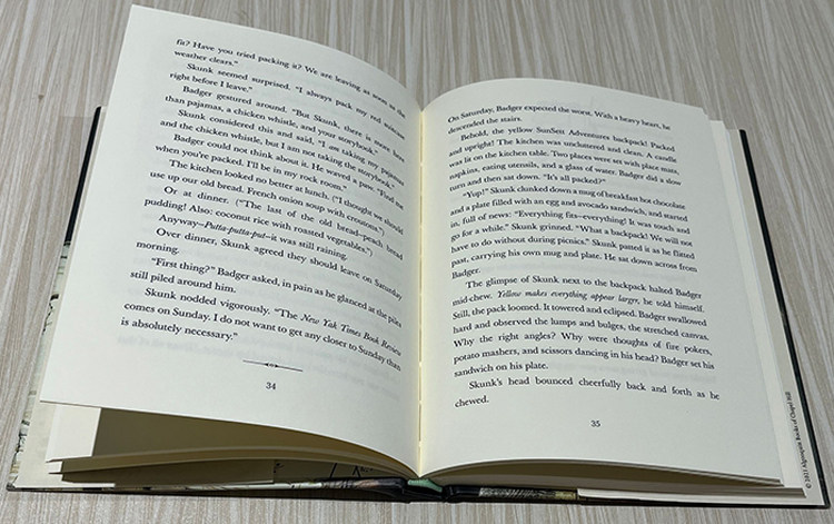 英文原版skunk and badger 2 獾臭鼬 绿山墙图书儿童读物原版书