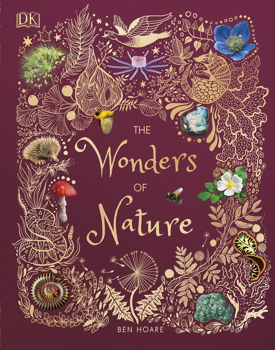 英文原版 现货 DK The Wonders of Nature 大自然的奇迹 动植物插图科普集 知识类读物 自然图解百科 DK儿童百科全书童百科全书 - 图0