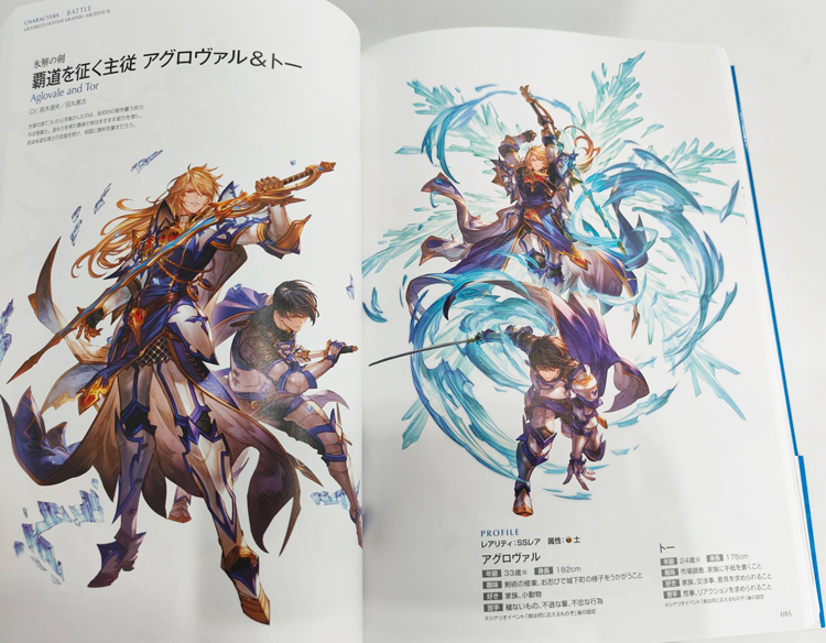 现货 碧蓝幻想官方画集9 附特典 GRANBLUE FANTASYグランブルーファンタジー GRAPHIC ARCHIVE 绿山墙日文原版 - 图2