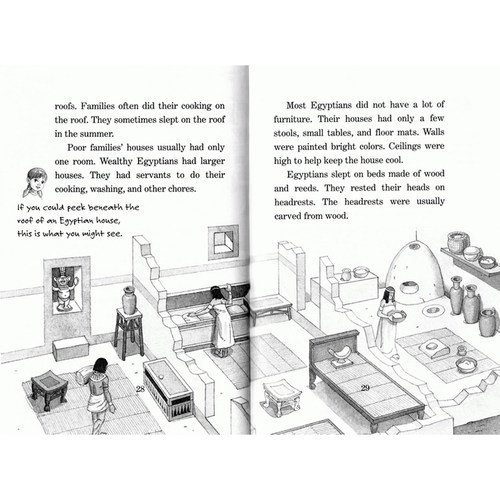 英文原版 神奇树屋小百科 入门套装 20册合售 The Magic Tree House Fact Tracker 儿童章节桥梁小说 课外科普阅读 - 图2