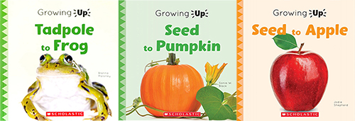 英文原版 Growing Up 3册合售 Seed to Pumpkin/Tadpole to Frog/Seed to Apple 激发孩子好奇心思维拓展 少儿植物科普百科 - 图0