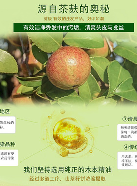 生姜植萃氨基酸草本控油去屑洗发水留香沐浴露柔顺护发素套装