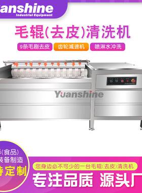 全自动毛刷清洗去泥机 菜头枇杷果清洗机 生姜红薯去皮清洗机
