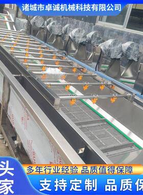 全自动蔬菜清洗机土豆地瓜清洗设备食品包装袋气泡流水线汽泡清洗