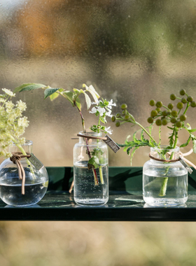 瑞典代购Ernst小号水培植物透明玻璃花瓶花器迷你绿植插花一套3个