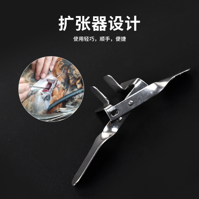 图4