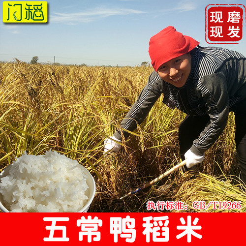 正宗五常大米原粮稻花香2号大米50斤东北黑龙江大米特价2025新米 - 图0