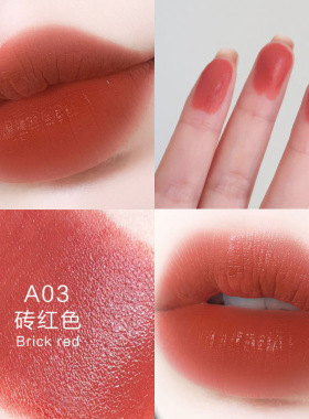 lipsticks  口红不易掉色不粘杯持久保湿滋润不脱色烂番茄色平价