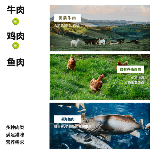 趣友猫粮成猫专用1.5kg英短10蓝猫20天然深海鱼肉味营养主粮3斤装 - 图0