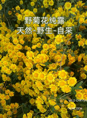 野菊花纯露520ml补水舒润维稳屏障脆弱温和痘痘喷雾爽肤水