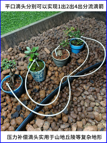以色列耐特菲姆压力补偿滴头2L 4L 8L 进口NETAFIM滴箭灌溉设备 - 图0