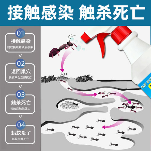 灭蚂蚁药家用室内毒全窝端杀无蚂蚁神器除蚁强效第一名厨房杀虫剂 - 图2